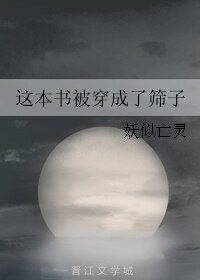 這本書被穿成了篩子