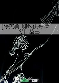 （综英美同人）[综英美]蜘蛛侠哥谭爱情故事